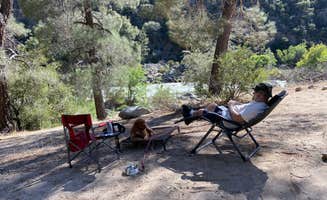 Coleen B.'s photo of camping with pets at Limestone Campground near Sequoia National Forest