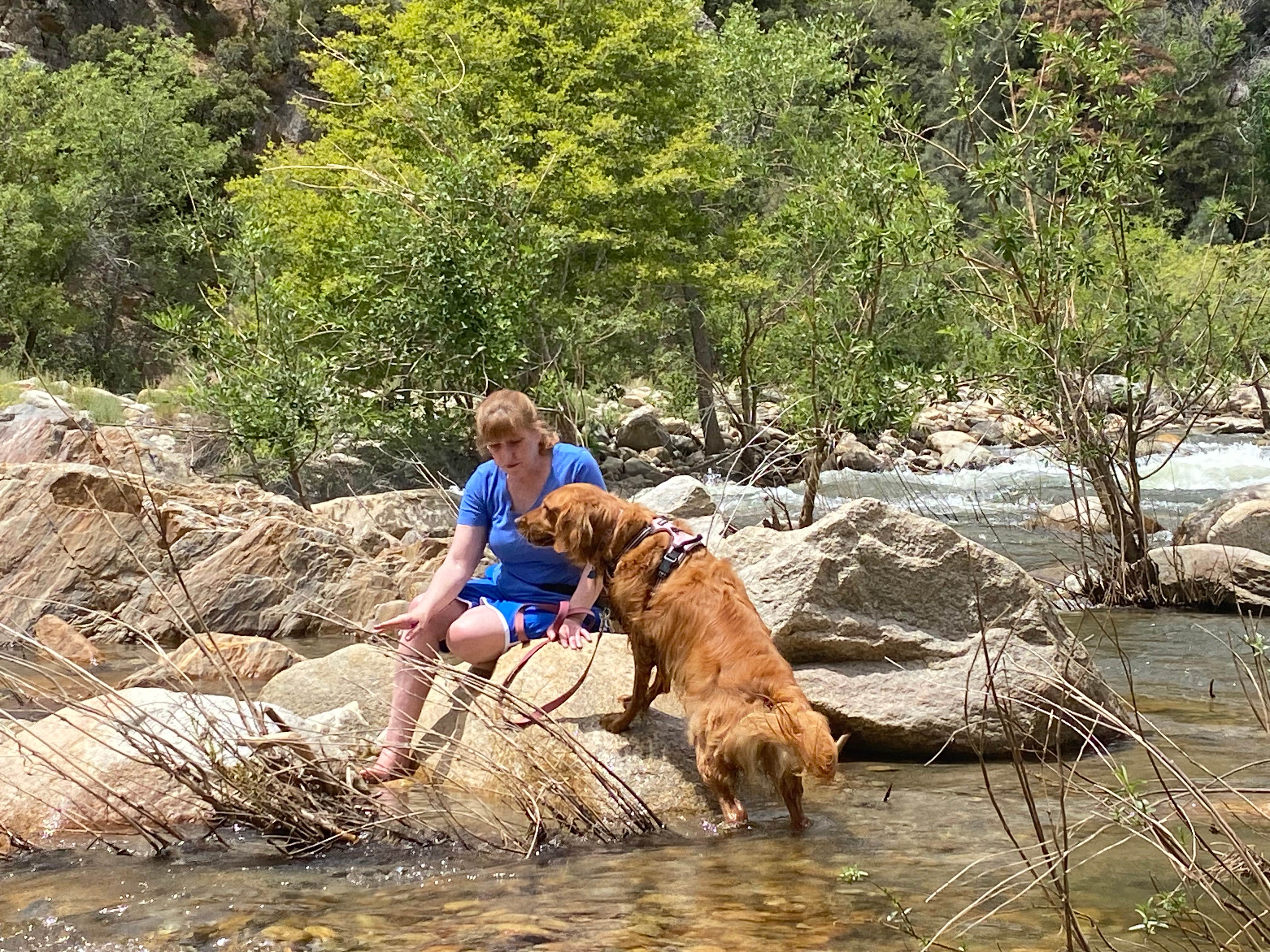 Coleen B.'s photo of camping with pets at Limestone Campground near Sequoia National Forest