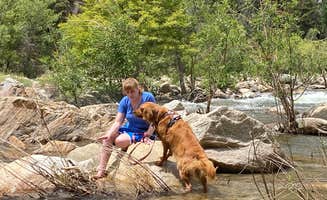 Coleen B.'s photo of camping with pets at Limestone Campground near Sequoia National Forest