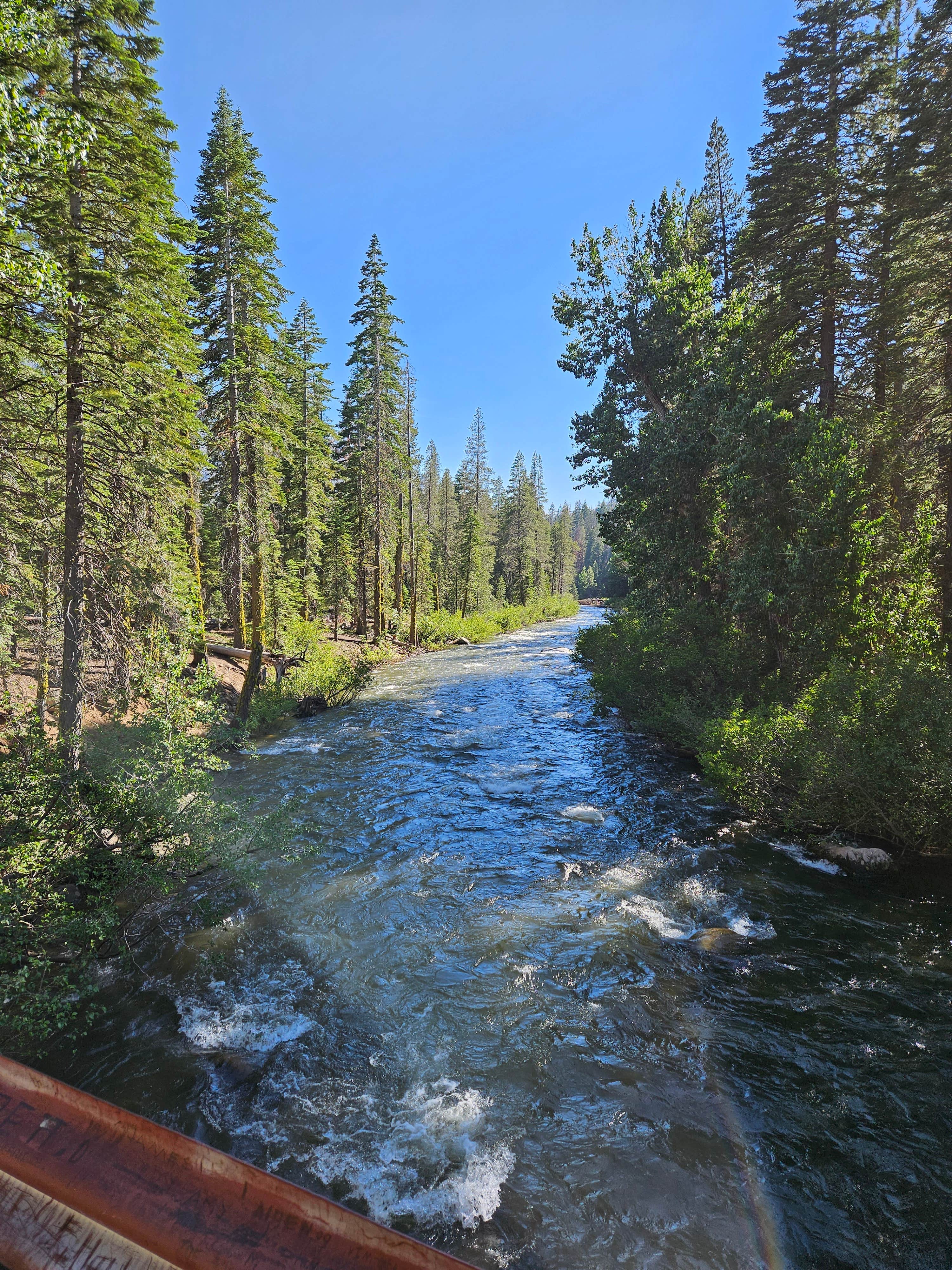 Camper-submitted photo at Clark Fork Campground near Stanislaus National Forest