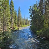 Review photo of Clark Fork Campground by Amanda V., August 1, 2023