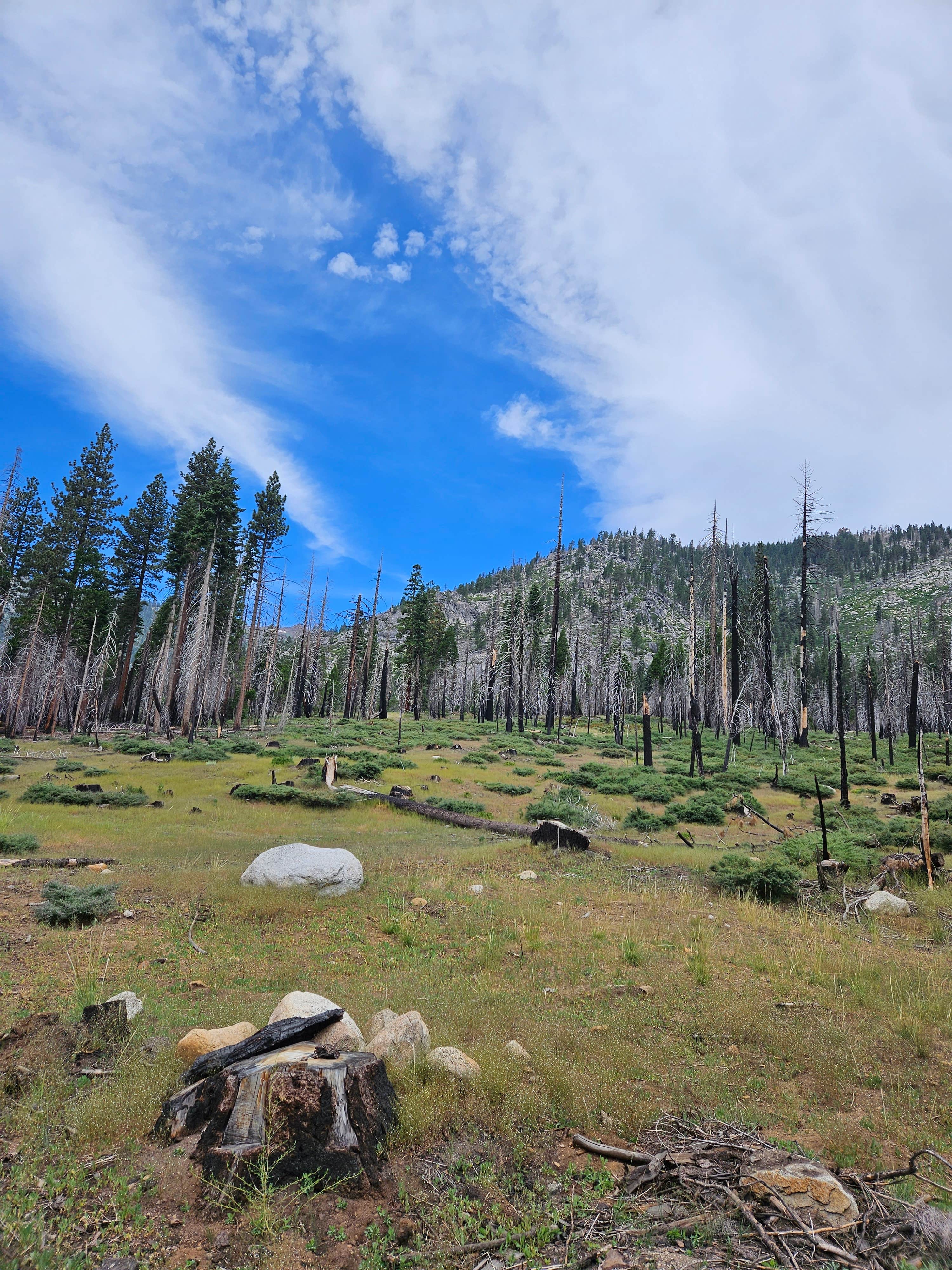 Camper-submitted photo at Clark Fork Campground near Stanislaus National Forest