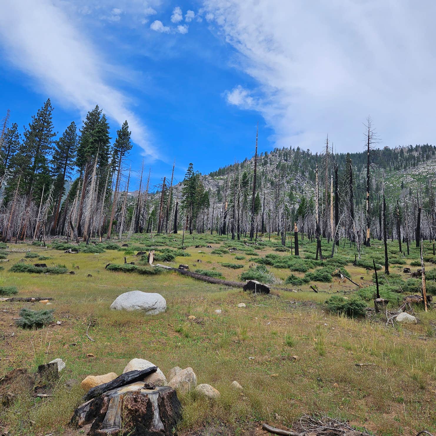 Clark Fork Campground | Bear Valley, CA