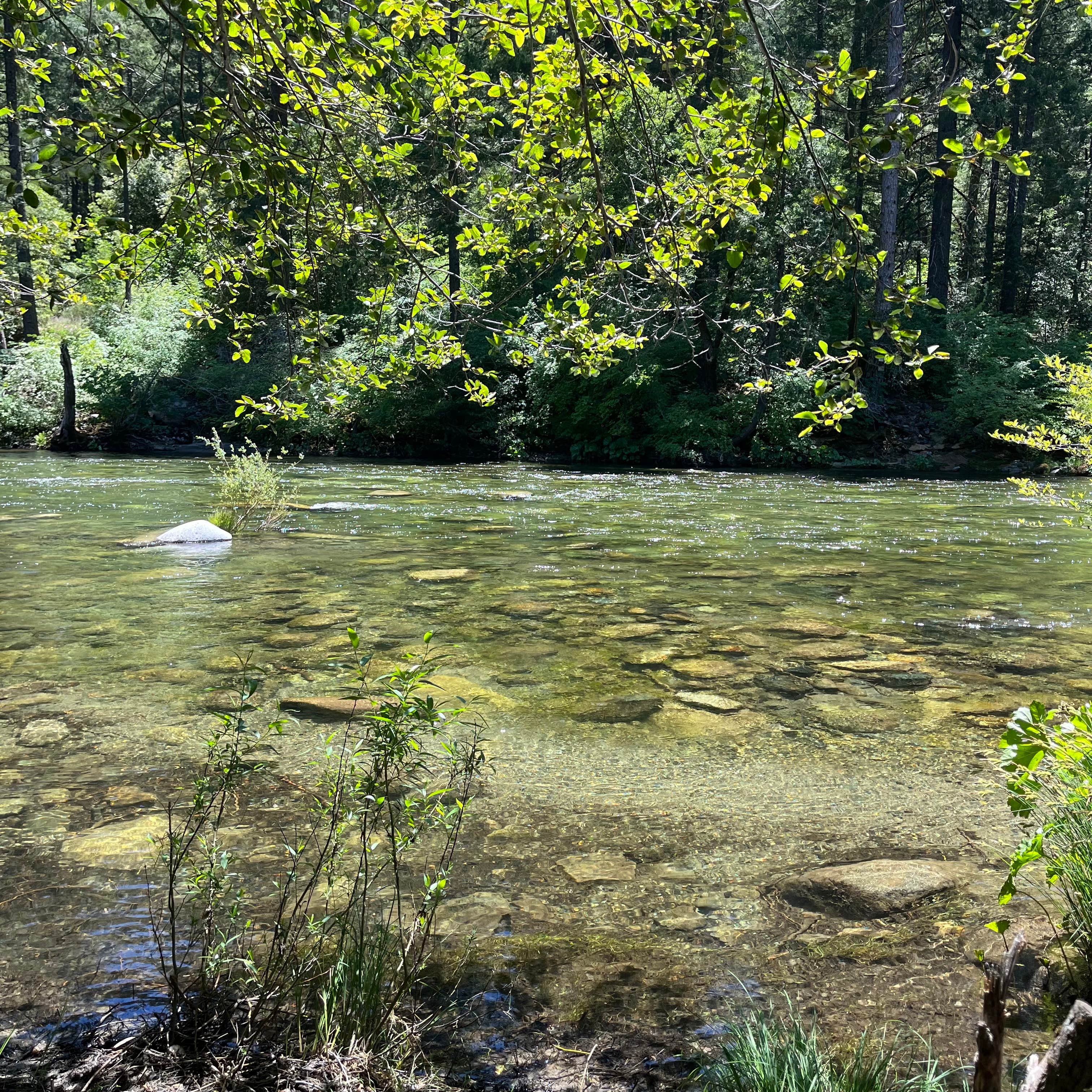 Camper-submitted photo at Carlton near Strawberry Valley, CA