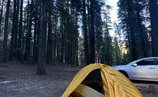 Isabel R.'s photo at Battle Creek Campground near Redwoods, CA