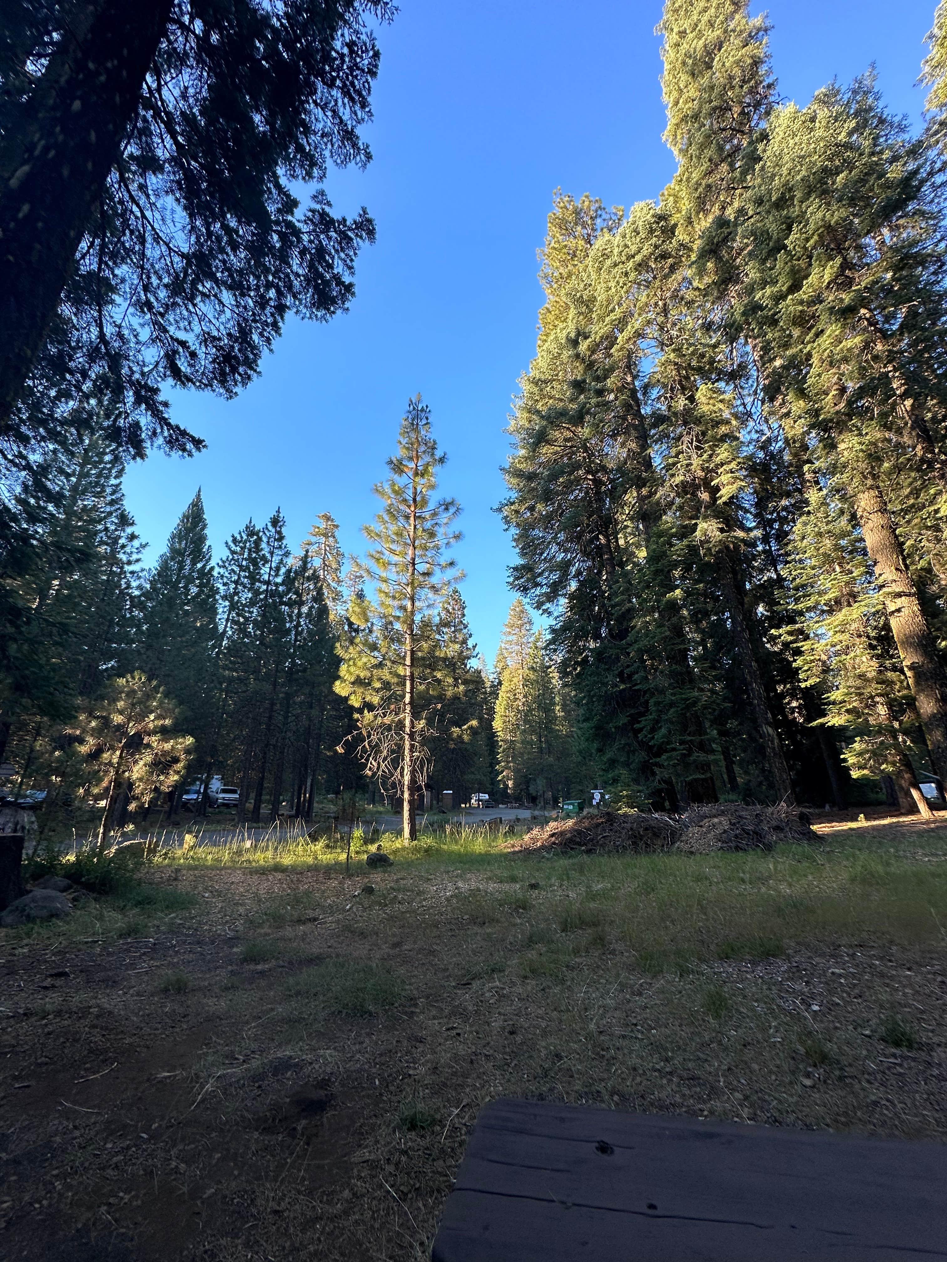 Camper-submitted photo at Battle Creek Campground near Lassen Volcanic National Park