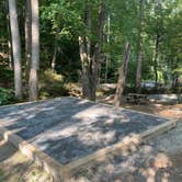 Review photo of Turkey Creek Campground by Adam C., August 1, 2023