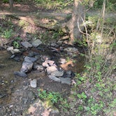 Review photo of Turkey Creek Campground by Adam C., August 1, 2023