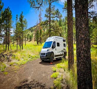 Camper-submitted photo from Dispersed Camping around Sunset Crater Volcano NM