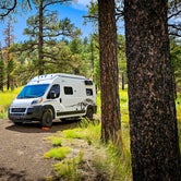 Review photo of Dispersed Camping around Sunset Crater Volcano NM by Chris W., August 1, 2023