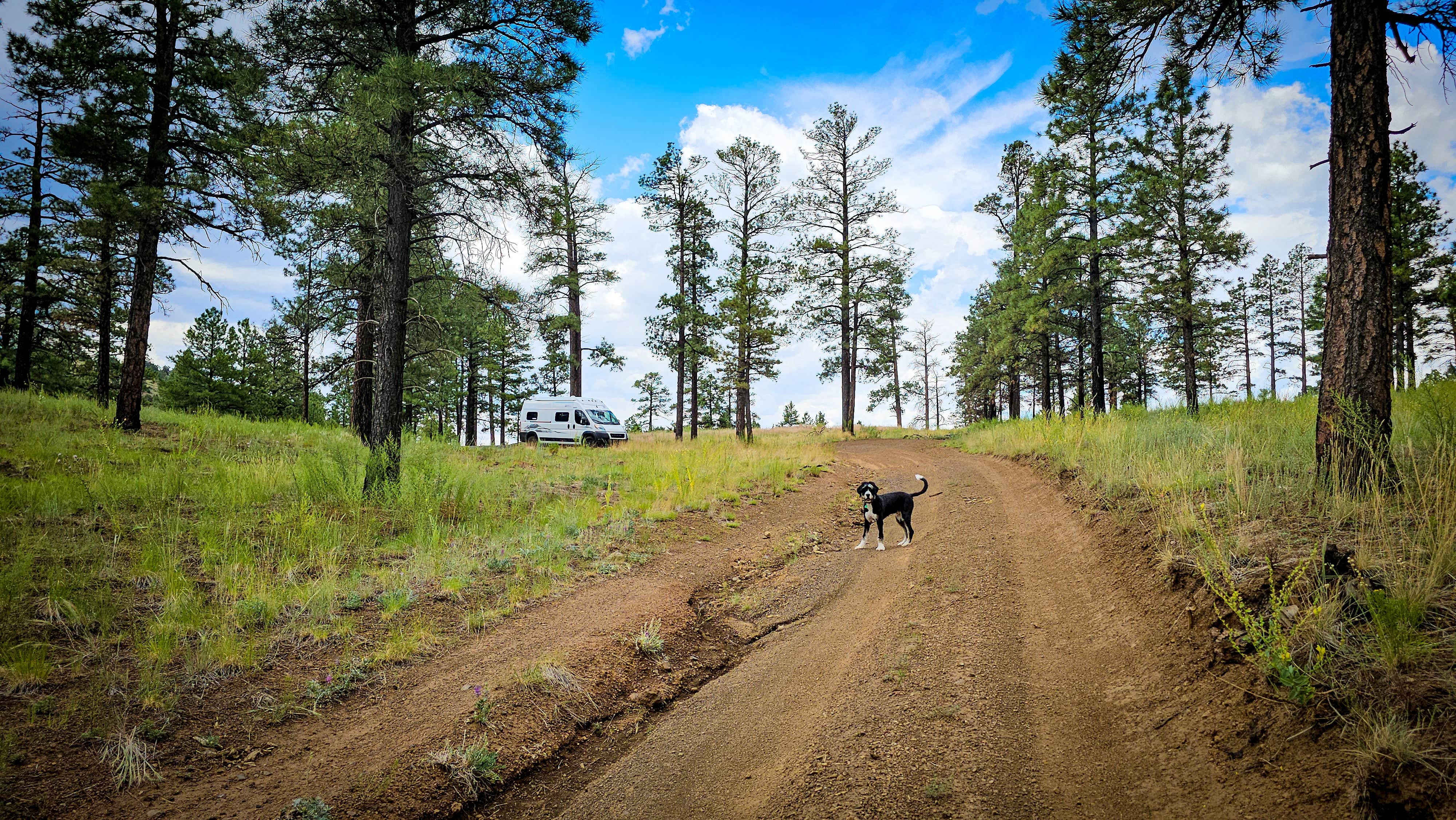 Camper-submitted photo at Dispersed Camping around Sunset Crater Volcano NM near Flagstaff, AZ