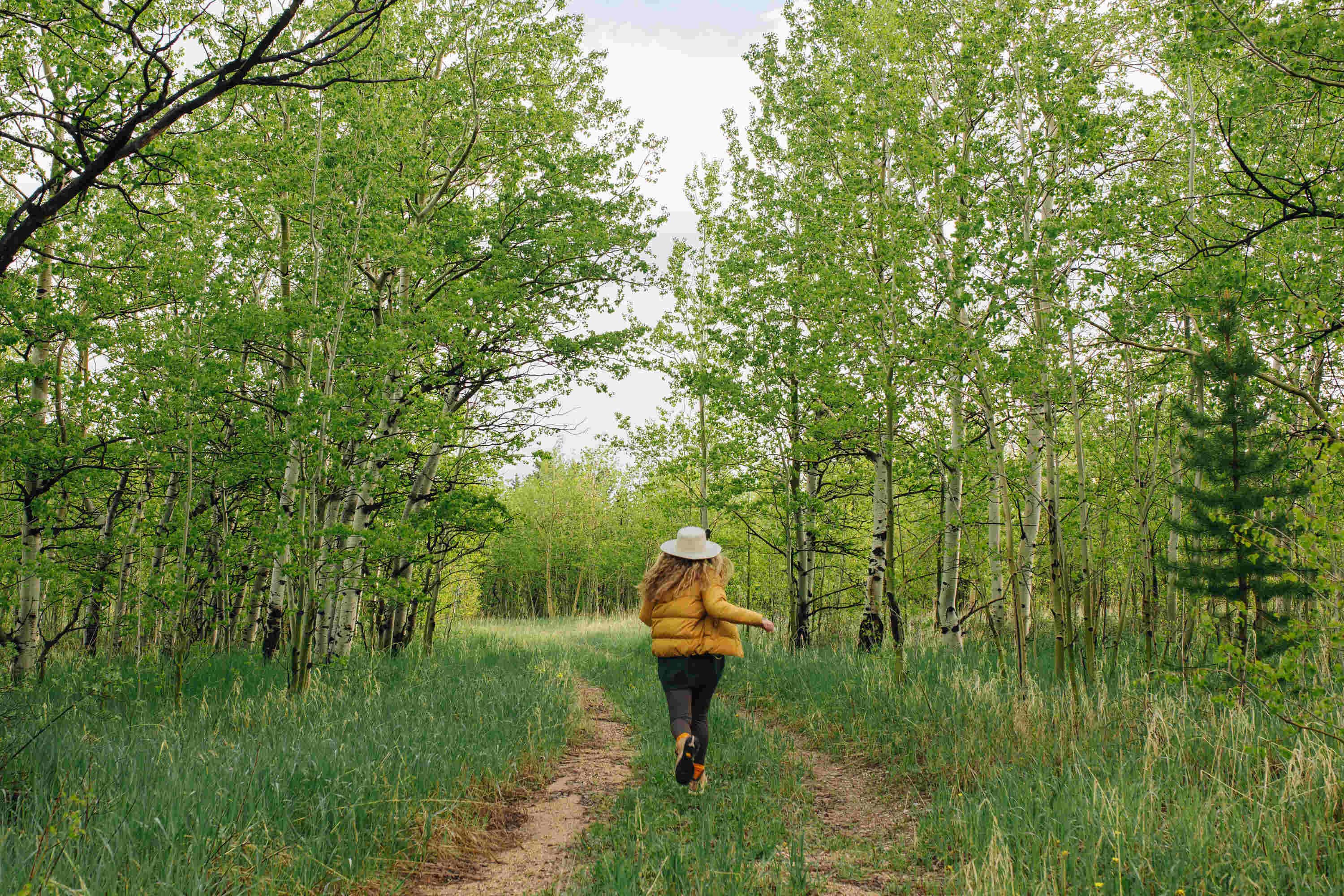 Camper-submitted photo at Base Camp at Golden Gate Canyon near Nederland, CO