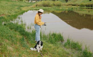 Ciara S.'s photo of camping with pets at Base Camp at Golden Gate Canyon near Wheat Ridge, CO