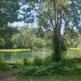 Review photo of Silver Springs State Park Campground by Carlos R., August 1, 2023