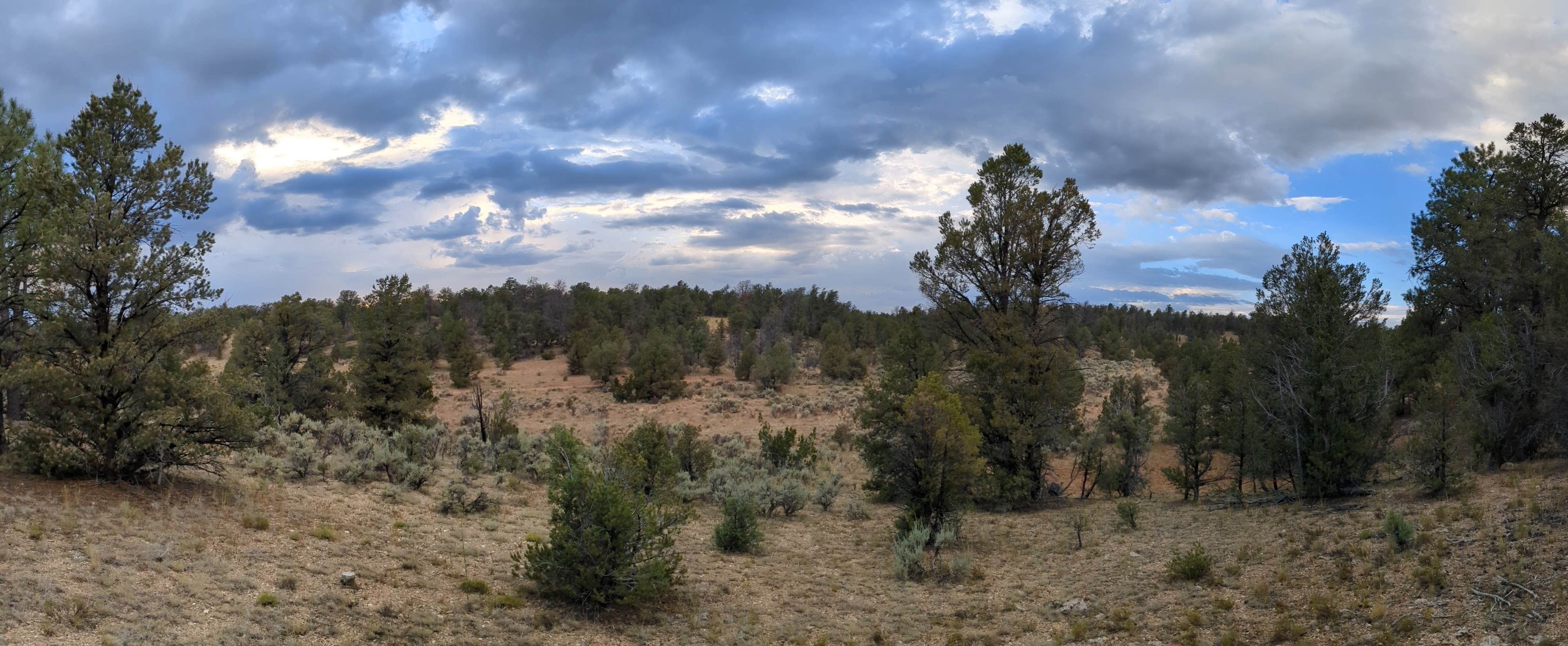 Camper-submitted photo at Forest Road 305 - Dispersed Camping near Grand Canyon, AZ