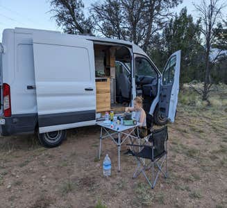 Camper-submitted photo from Forest Road 305 - Dispersed Camping