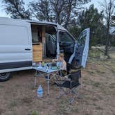 Review photo of Forest Road 305 - Dispersed Camping by Martina D., August 2, 2023