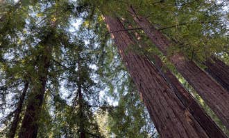 Camping near Santa Cruz Redwoods RV Resort: Redwood Resort, Mount Hermon, California