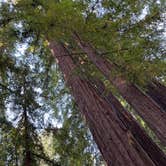 Review photo of Redwood Resort by Lysek L., August 2, 2023