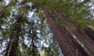 Camping near Henry Cowell Redwoods State Park Campground: Redwood Resort, Mount Hermon, California