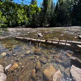 Review photo of Nason Creek Campground by Alyson M., August 2, 2023