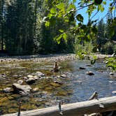 Review photo of Nason Creek Campground by Alyson M., August 2, 2023