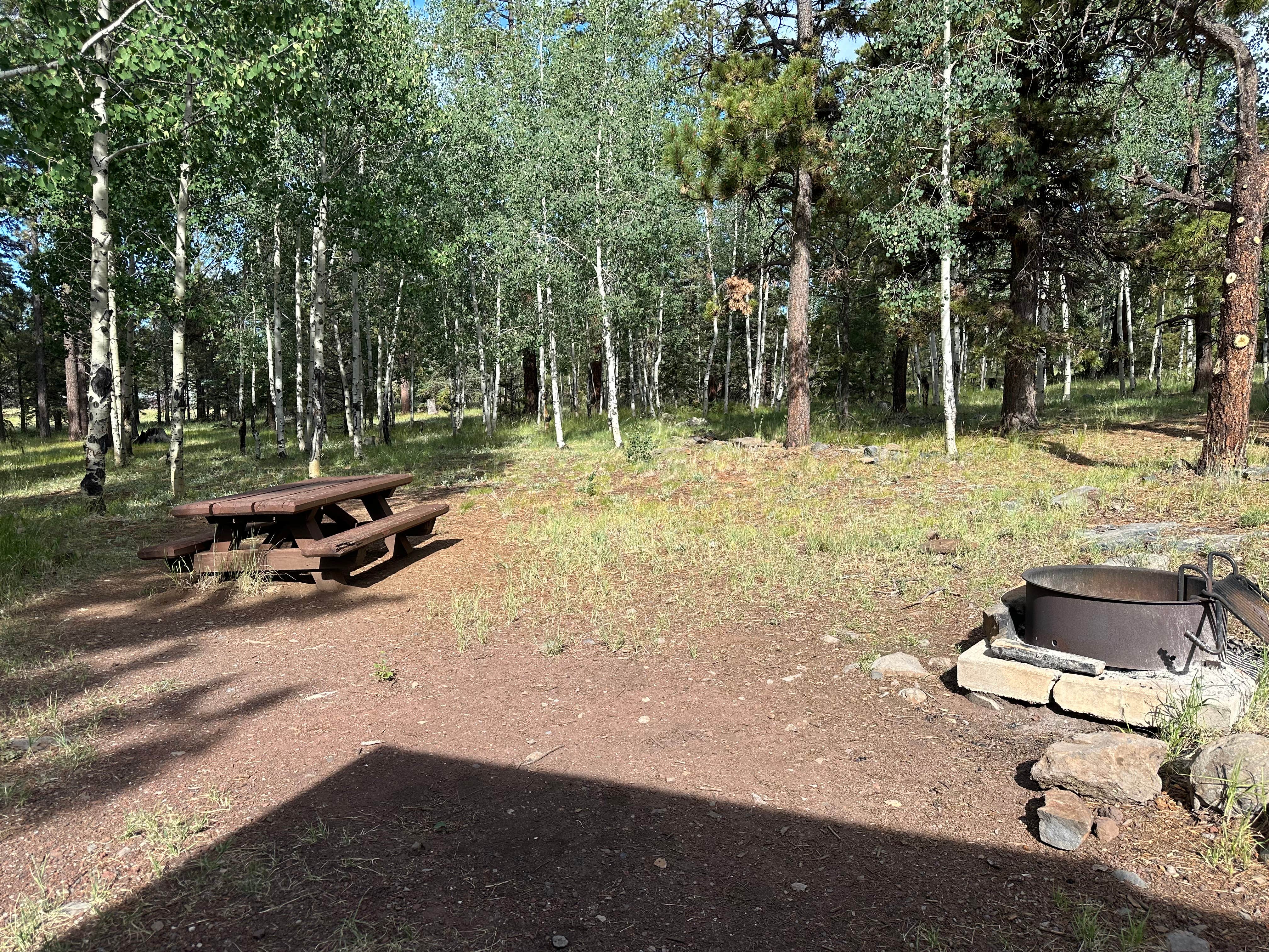 JJ V.'s photo at Apache National Forest Winn Campground near McNary, AZ
