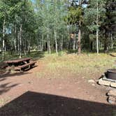 Review photo of Apache National Forest Winn Campground by JJ V., August 2, 2023