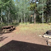 Review photo of Apache National Forest Winn Campground by JJ V., August 2, 2023