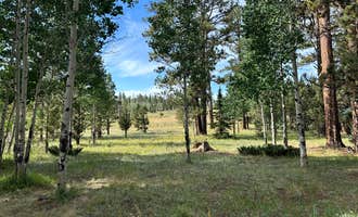 Camping near Benny Creek Campground: Apache National Forest Winn Campground, Greer, Arizona