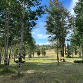 Review photo of Apache National Forest Winn Campground by JJ V., August 2, 2023