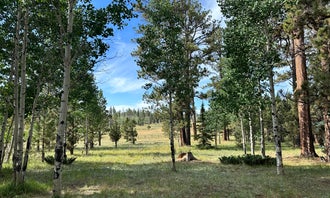 Camping near Rolfe C. Hoyer Campground: Apache National Forest Winn Campground, Greer, Arizona