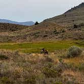 Review photo of Travertine Road Dispersed - Yellowstone by Vinny D., August 2, 2023