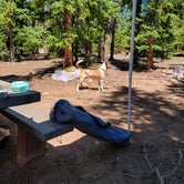Review photo of Selkirk Campground by Sheri R., August 2, 2023