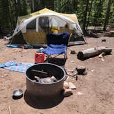 Review photo of Selkirk Campground by Sheri R., August 2, 2023