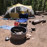 Review photo of Selkirk Campground by Sheri R., August 2, 2023