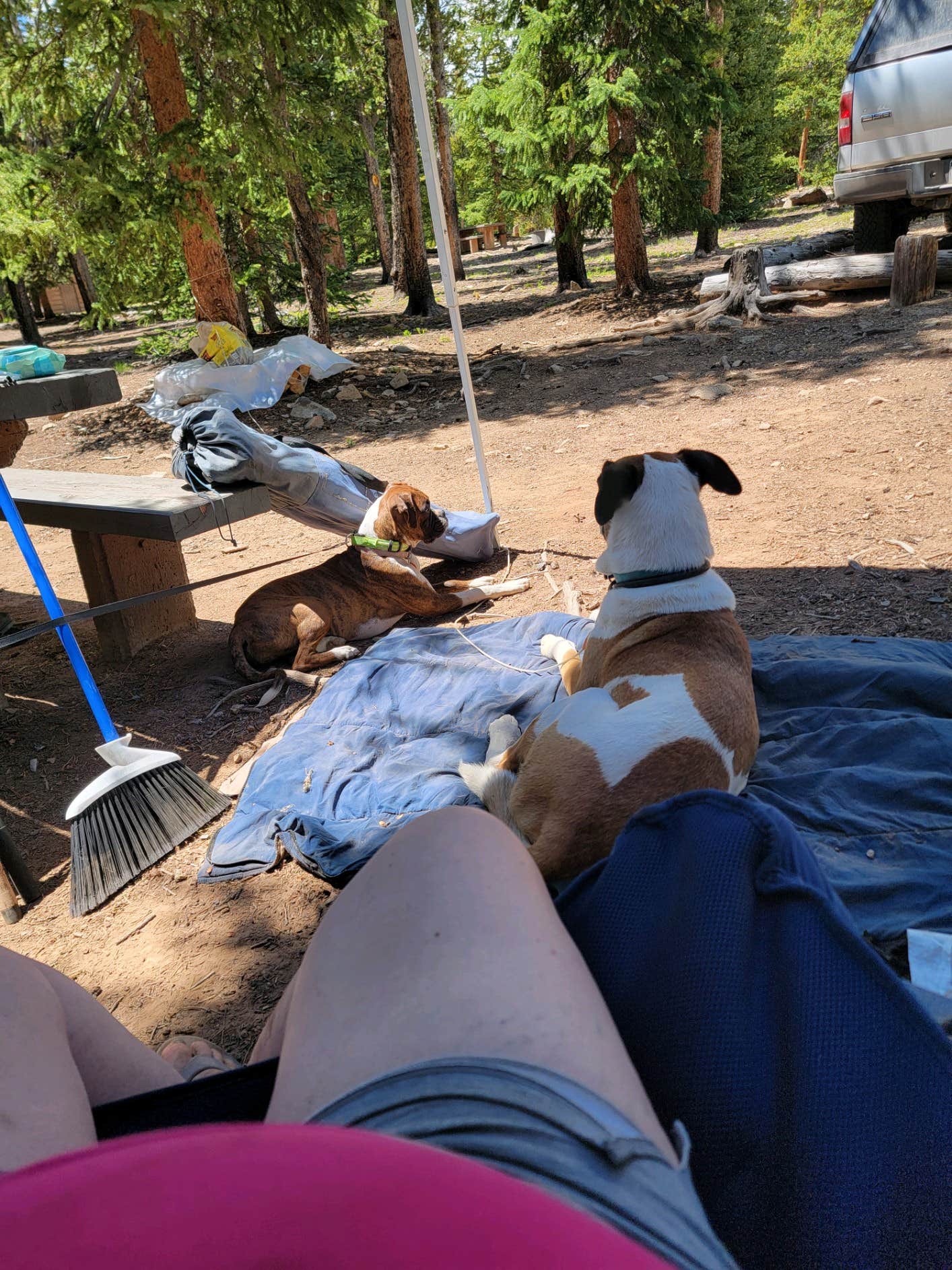 Camper-submitted photo at Selkirk Campground near Copper Mountain, CO