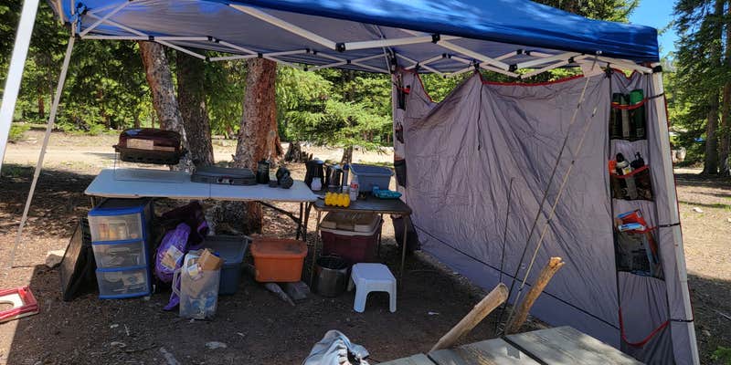 Camper submitted image from Selkirk Campground