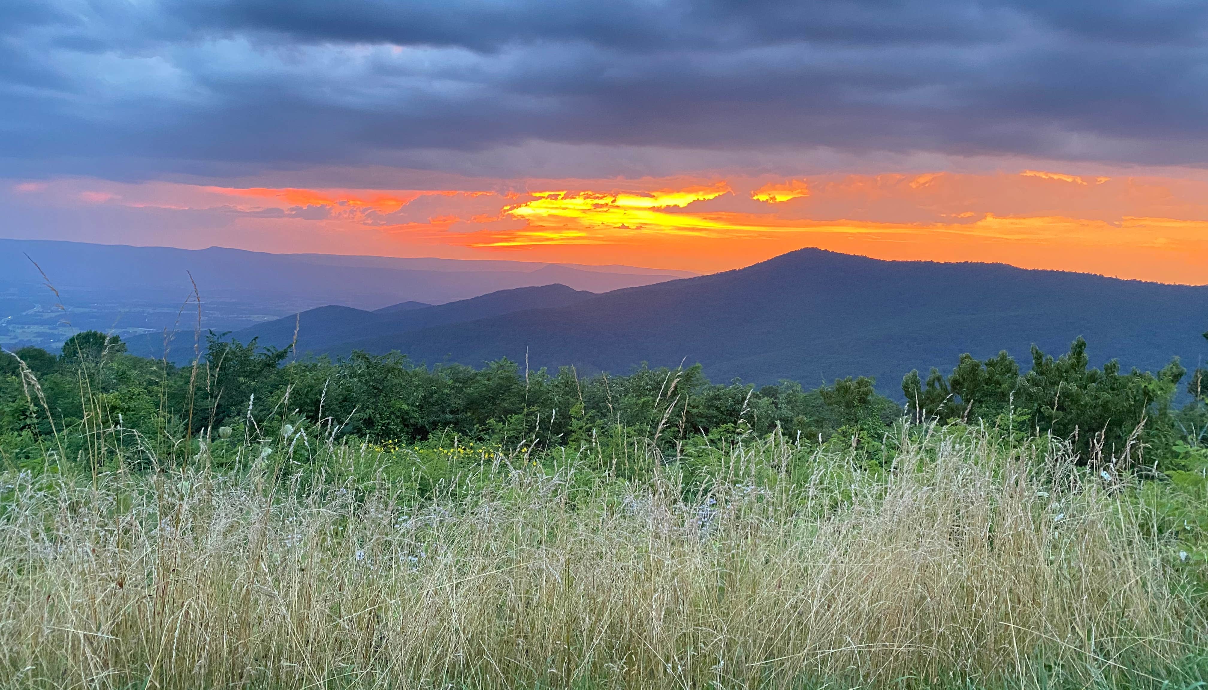 Shenandoah National Park