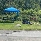 Review photo of Big Meadows Campground — Shenandoah National Park by Luna P., August 2, 2023