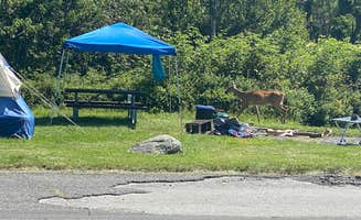 Luna P.'s photo at Big Meadows Campground — Shenandoah National Park near Dyke, VA