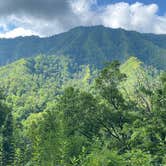 Review photo of Elkmont Campground — Great Smoky Mountains National Park by Luna P., August 2, 2023