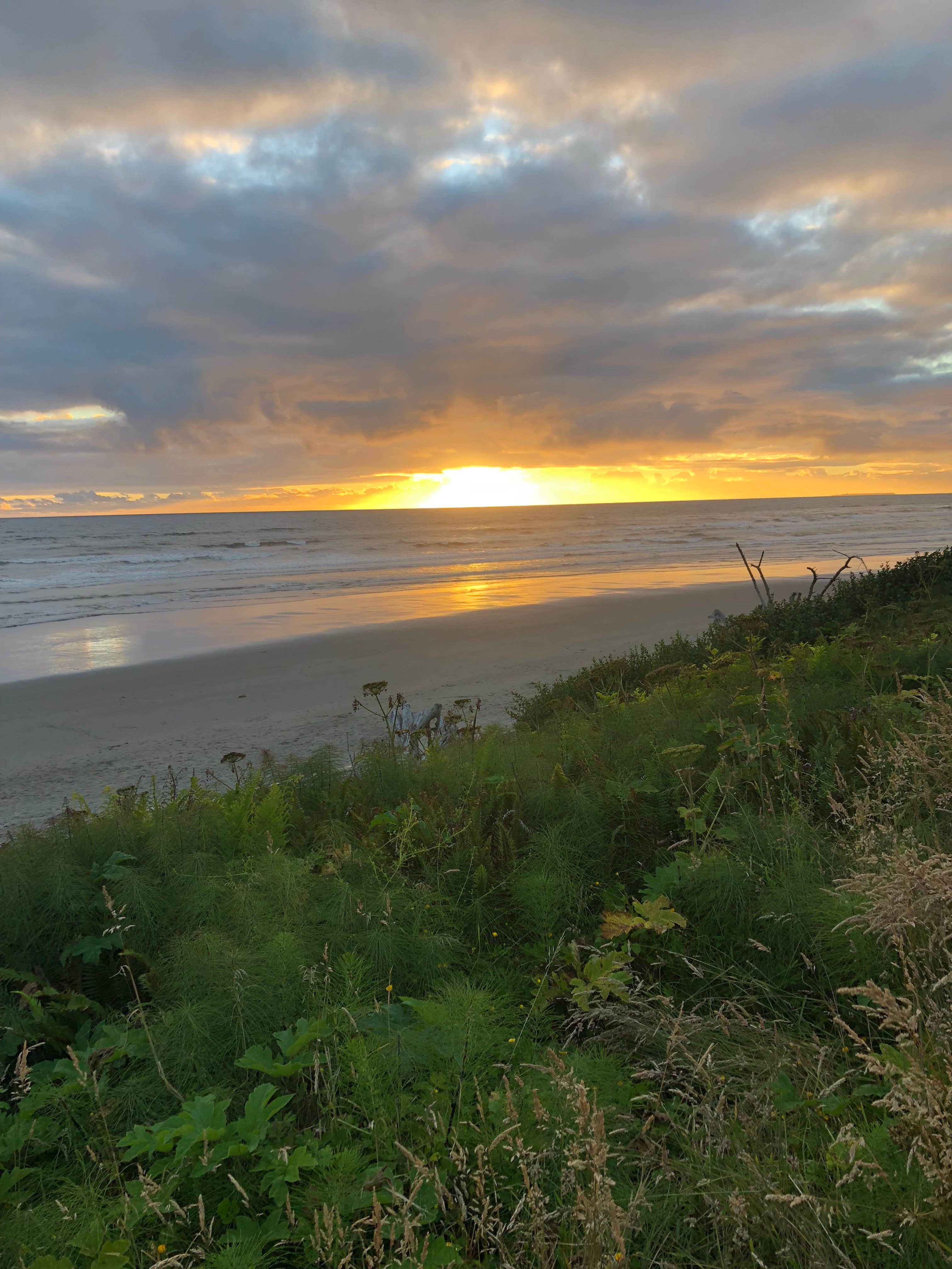 Camper submitted image from South Beach Campground — Olympic National Park - 2