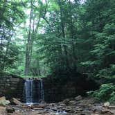 Review photo of Cook Forest State Park Campground by Resa B., October 26, 2018