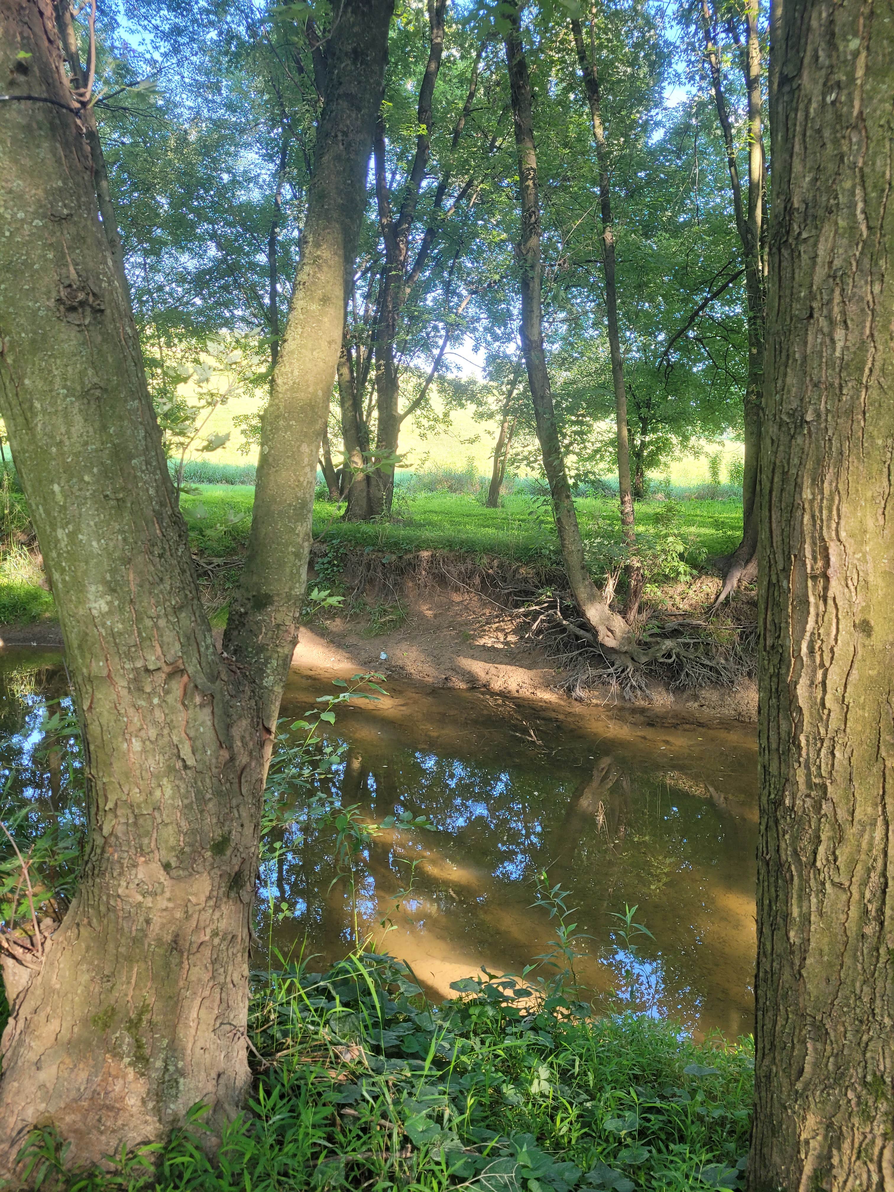 Camper-submitted photo at Shambala at Mystic Hollow near Blandon, PA