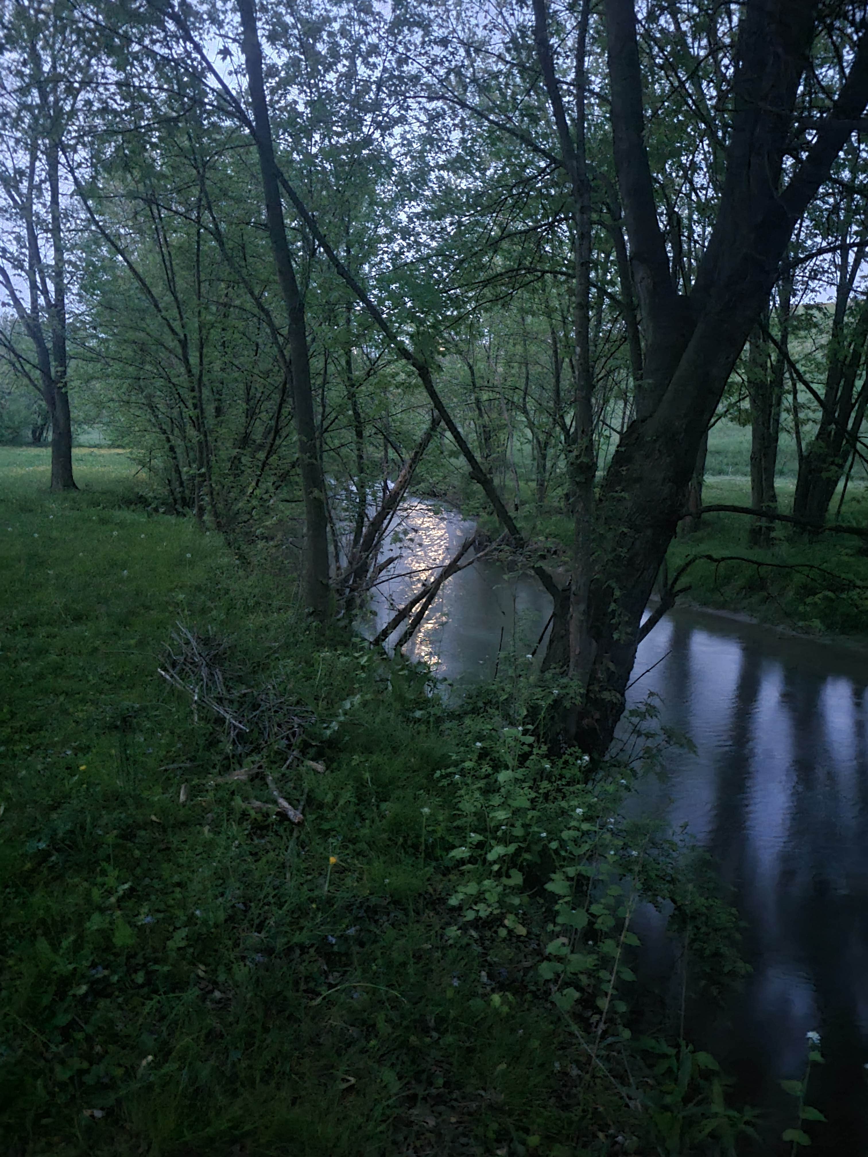 Camper-submitted photo at Shambala at Mystic Hollow near Blandon, PA