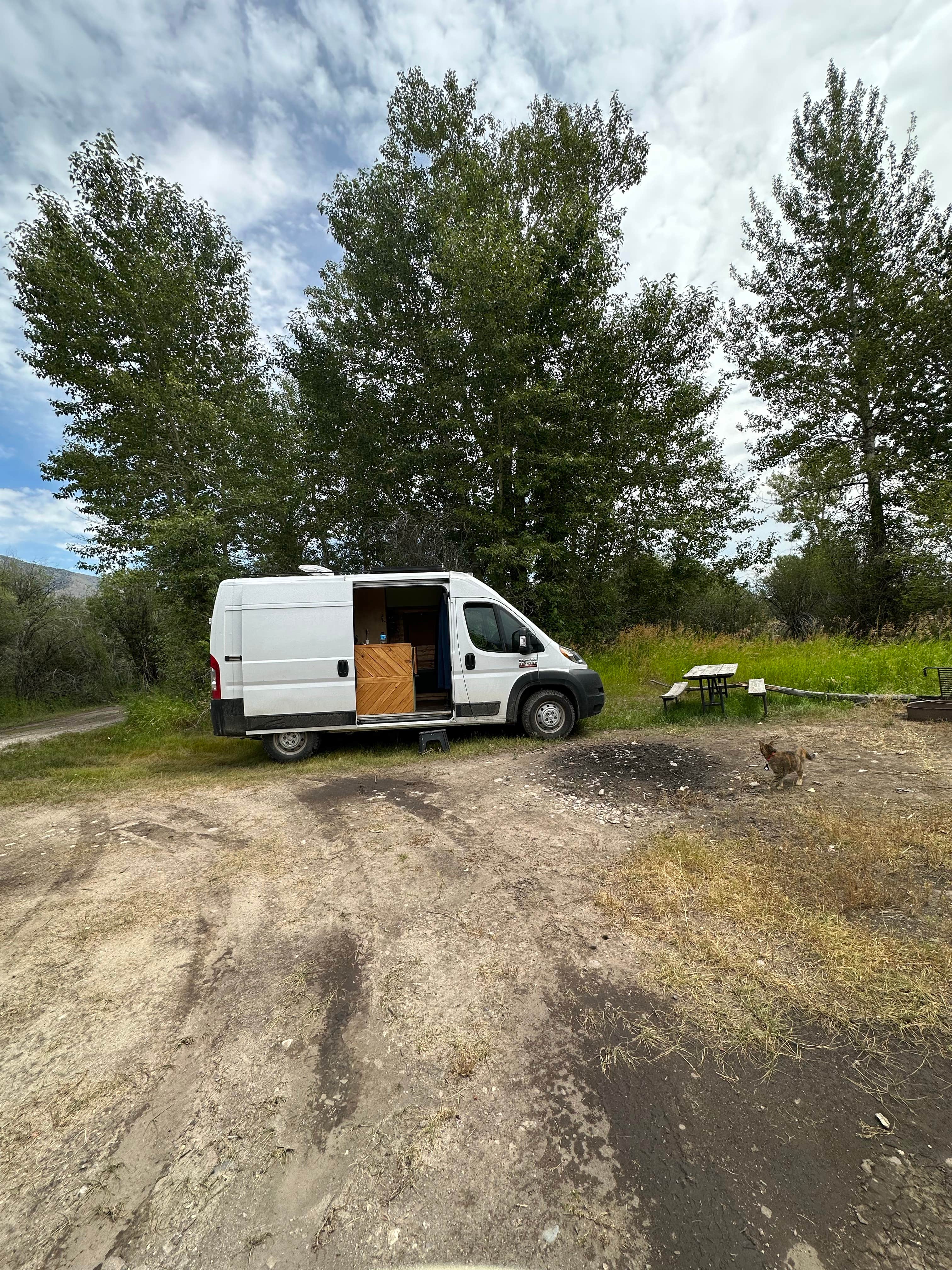 Tee C.'s photo of camping with pets at Glen Campground near Butte, MT