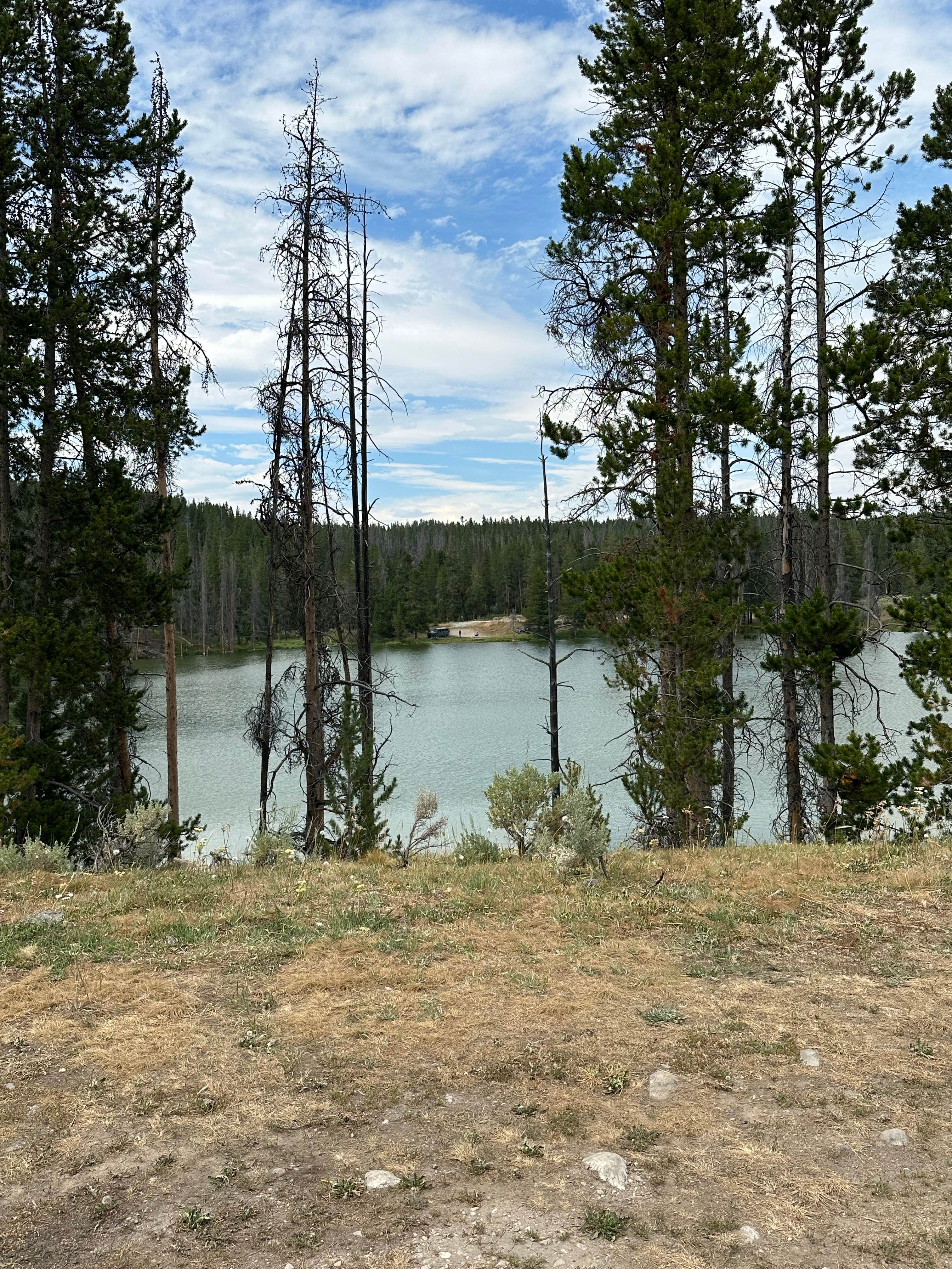 Camper-submitted photo at South Van Houten Campground near Jackson, MT