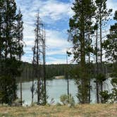 Review photo of South Van Houten Campground by Tee C., August 2, 2023
