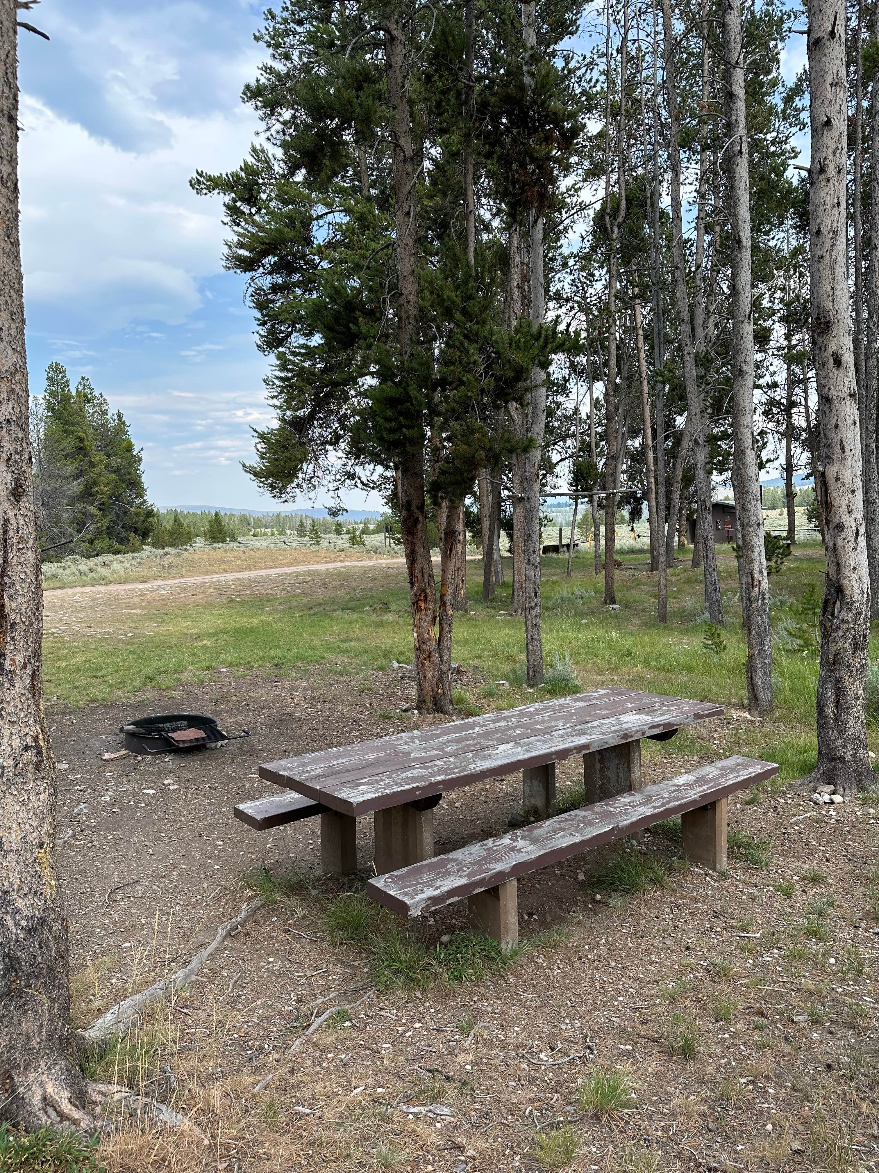Camping near Bloody Dick Cabin: South Van Houten Campground, Jackson, Montana